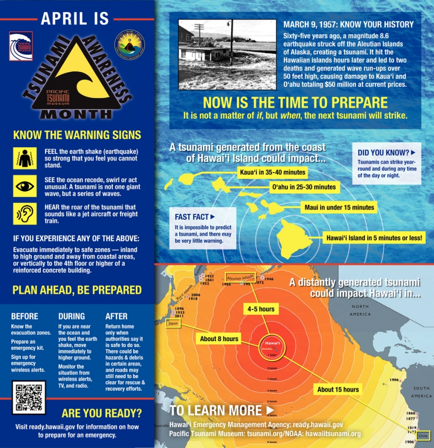 Hilo bay tsunami
